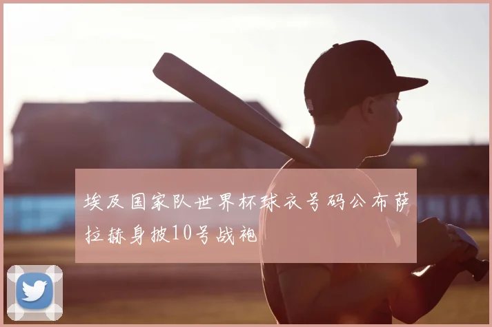 埃及国家队世界杯球衣号码公布萨拉赫身披10号战袍