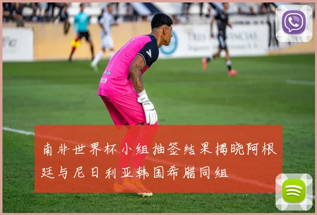 南非世界杯小组抽签结果揭晓阿根廷与尼日利亚韩国希腊同组