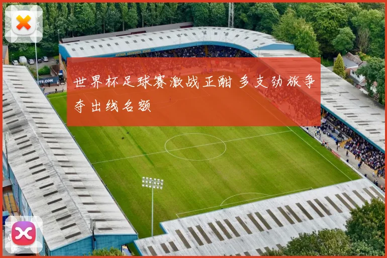 世界杯足球赛激战正酣 多支劲旅争夺出线名额
