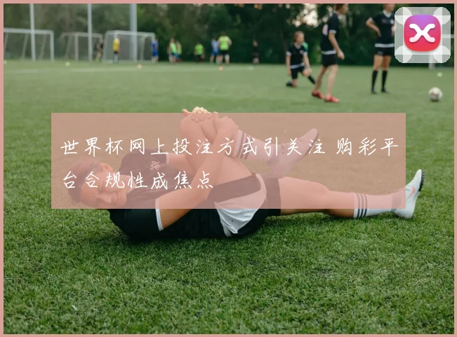 世界杯网上投注方式引关注 购彩平台合规性成焦点