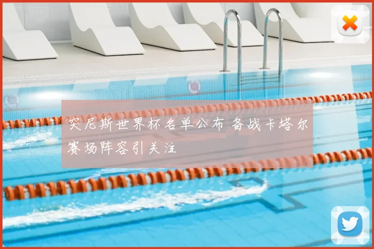 突尼斯世界杯名单公布 备战卡塔尔赛场阵容引关注