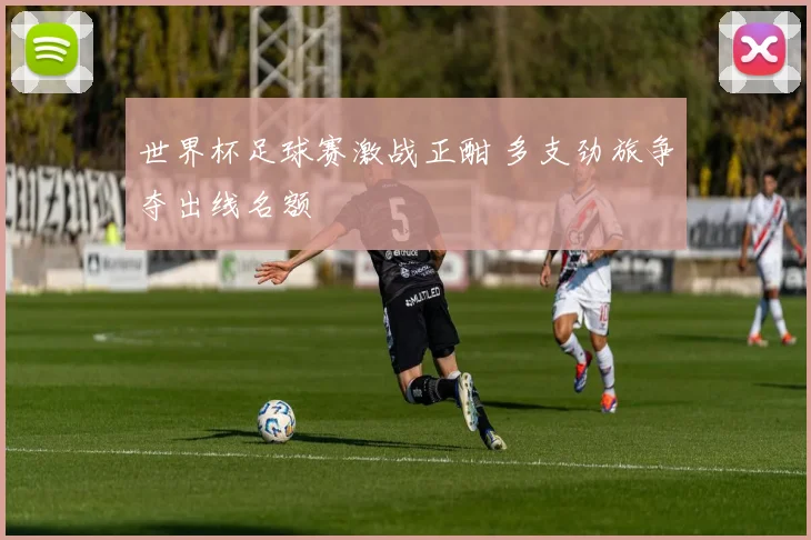 世界杯足球赛激战正酣 多支劲旅争夺出线名额