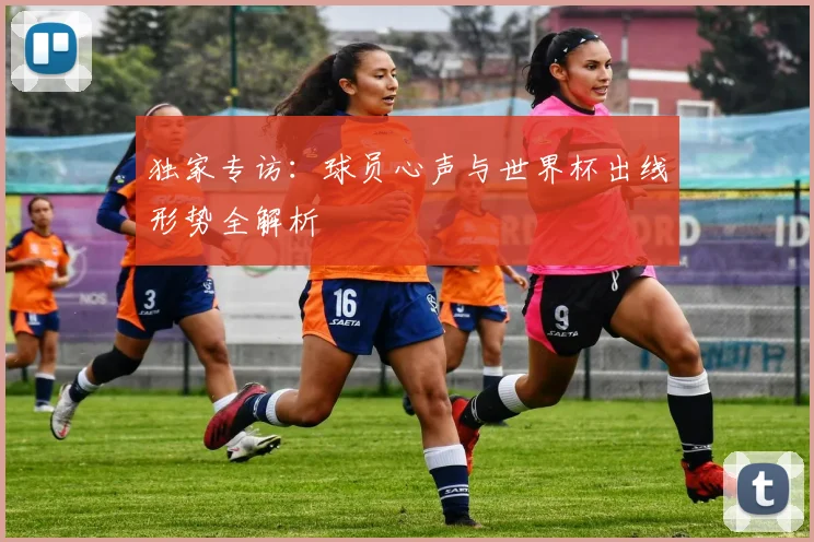 独家专访：球员心声与世界杯出线形势全解析