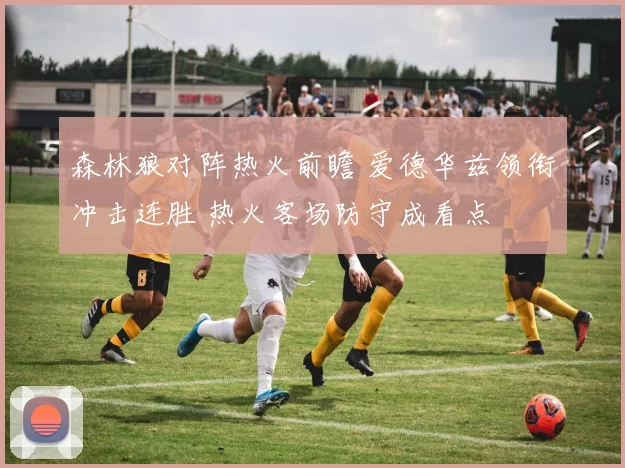 森林狼对阵热火前瞻 爱德华兹领衔冲击连胜 热火客场防守成看点