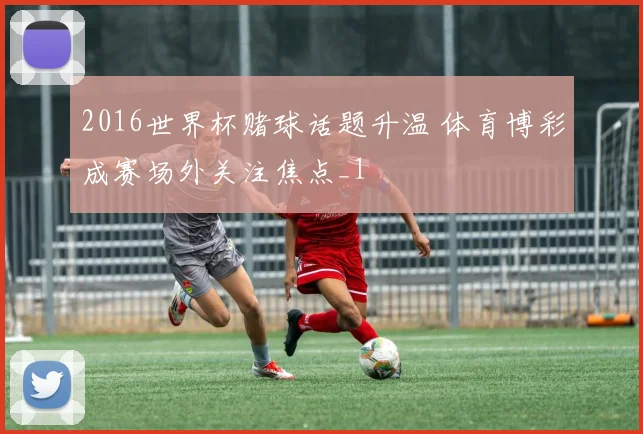 2016世界杯赌球话题升温 体育博彩成赛场外关注焦点_1