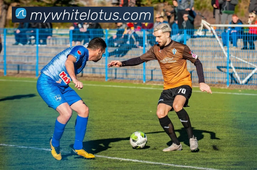 beat365唯一官网服务体系